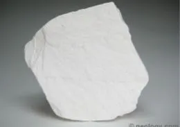 Diatomite